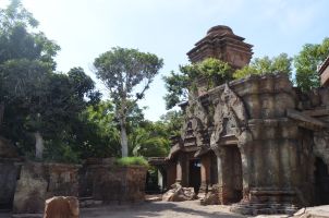 Bioparc Fuengirola 13