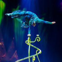 Cirque du Soleil - Kurios - OVO - Alegría 10