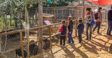 Granja d'Aventura Park 3