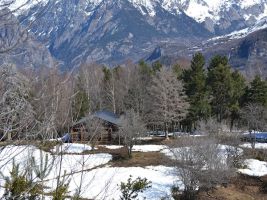 Parque Lacuniacha 12