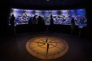 Acuario de Sevilla 3