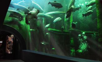 Acuario de Zaragoza 2