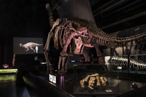 Territorio Dinópolis 4