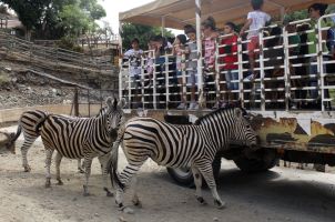 Selwo Aventura Estepona 12