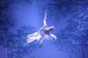 El Lago de los Cisnes Sobre Hielo- The Imperial Ice Stars 2