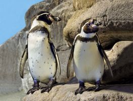 L'Aquarium de Barcelona 3