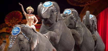 Gran Circo Americano 1