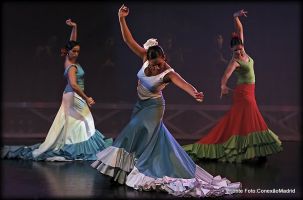 Ballet flamenco de Madrid 2