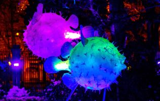 Naturaleza Encendida Bilbao 3