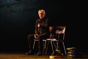 El hijo de la cómica 2