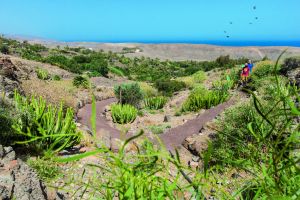Oasis Wildlife Fuerteventura 3
