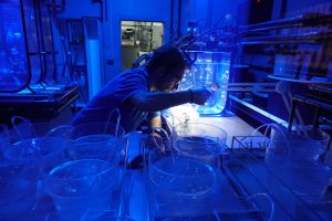 Acuario de Sevilla 22