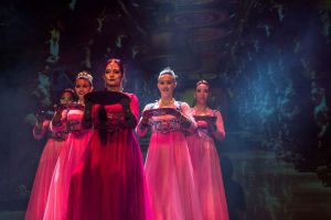 Bollywood Colours of India 5