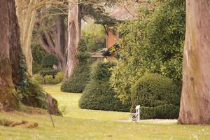 Jardín Botánico Atlántico 1