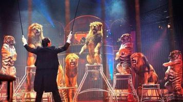 Gran Circo Mundial 4