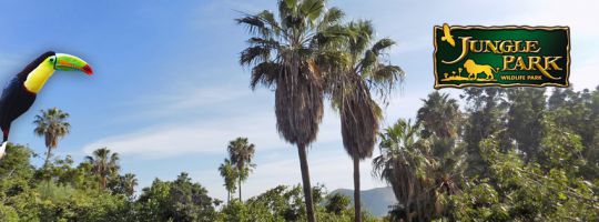 Jungle Park 1