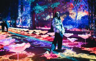 Naturaleza Encendida en Madrid 11