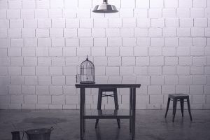 1888. Señorita Julia 1