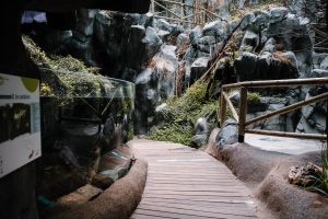 Bioparc Acuario de Gijón 11