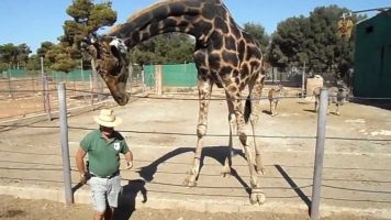 Safari Zoo Mallorca 7