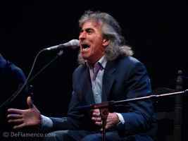 El Capullo de Jerez 5