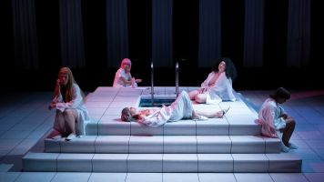 Cucaracha con Paisaje de Fondo 3