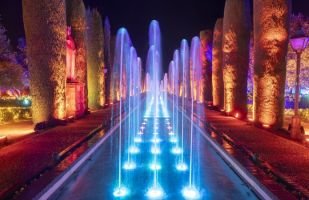 Naturaleza Encendida en Córdoba 2