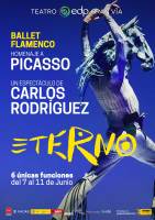 Eterno - Ballet Flamenco Homenaje a Picasso 3