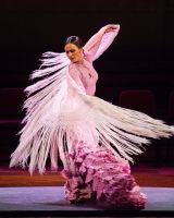 Gran gala flamenco 4