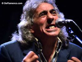 El Capullo de Jerez 3