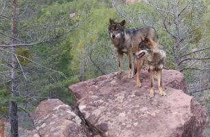 La Maleza Parque de Fauna 11