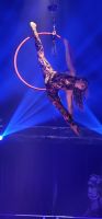 Gran Circo Alaska 7