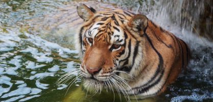 Oasys Parque Temático - Mini Hollywood 10