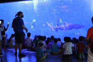 Acuario de Sevilla 32