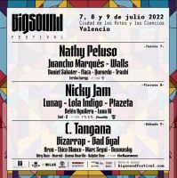 Big Sound Festival 2025 5